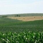 Uruguay: Los residuos agroindustriales generarán el 30% de energía en 2015