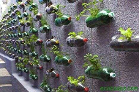 Plantar en botellas de plástico - Ecocosas