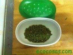 ecocosasIMG 0528 Brotes de soja casi gratis y ecológicos