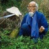 Fukuoka, y la senda natural del cultivo