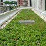 Techos Verdes, excelente opción para ayudar al Medio Ambiente y gastar muy poco en climatización