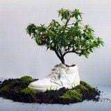 ¿Qué significa ‘Biodegradable’?