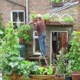 Transforma tu casa en un huerto