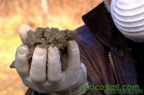 Una dieta de desechos (Documental) 1