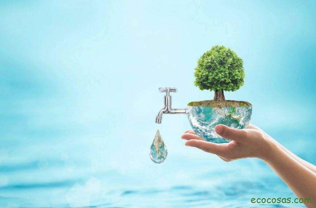 Ecología, Permacultura, Salud Natural, Plantas Medicinales, Como Cultivar, Energías renovables, Bioconstrucción y otros. 1