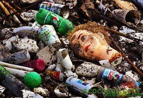 Ecología, Permacultura, Salud Natural, Plantas Medicinales, Como Cultivar, Energías renovables, Bioconstrucción y otros. 2