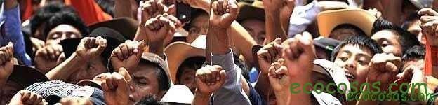 Somos 7.000 millones: cinco desafíos ambientales 1