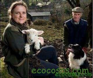 Una granja para el futuro (Documental) 2