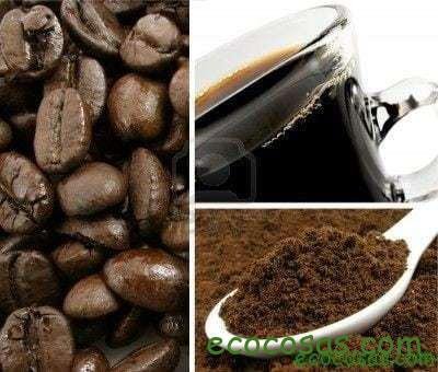 Ecología, Permacultura, Salud Natural, Plantas Medicinales, Como Cultivar, Energías renovables, Bioconstrucción y otros. 10