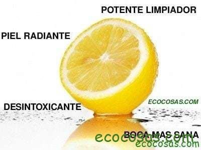 propiedades del limon