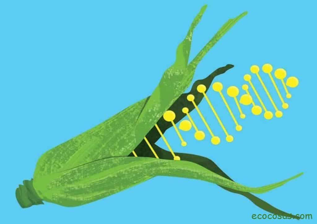 alimentos transgenicos
