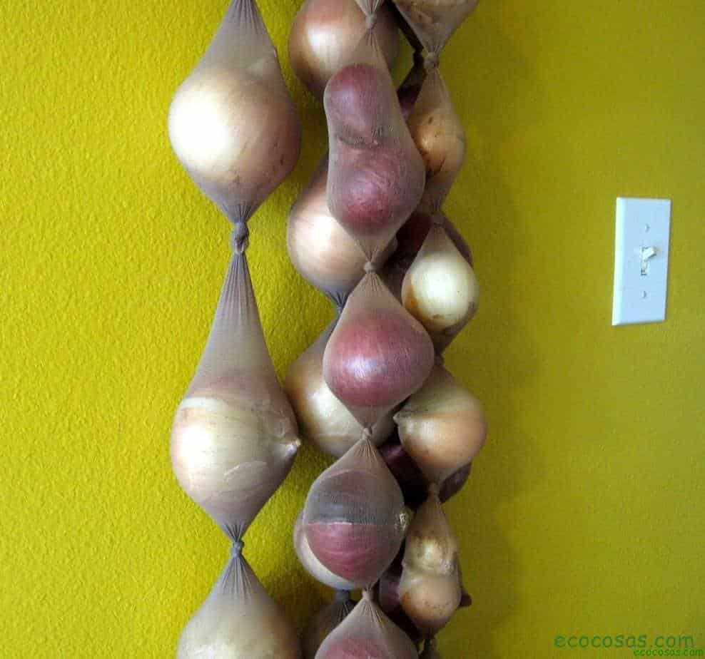 Almacenar cebollas por varios meses - Ecocosas