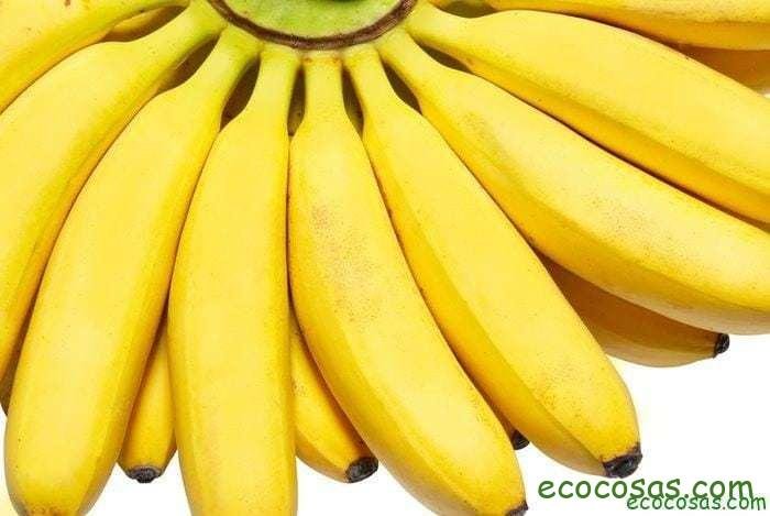 Ecología, Permacultura, Salud Natural, Plantas Medicinales, Como Cultivar, Energías renovables, Bioconstrucción y otros. 2