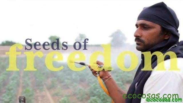 Semillas de libertad (Documental) 1