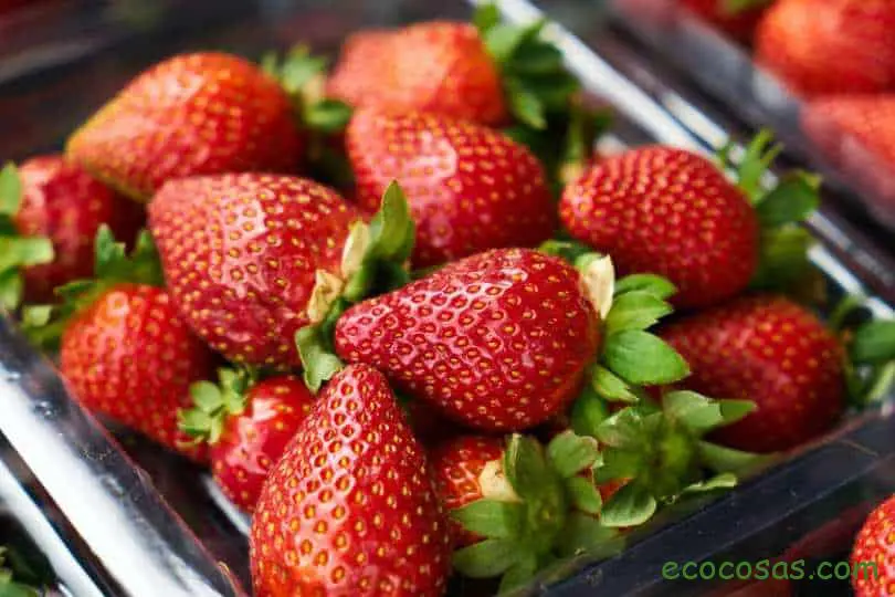 para que sirve la fresa