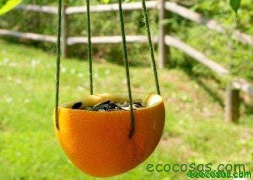 Comedero para aves natural y biodegradable 1