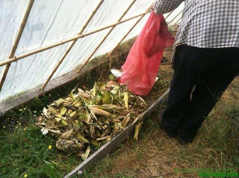 Ecología, Permacultura, Salud Natural, Plantas Medicinales, Como Cultivar, Energías renovables, Bioconstrucción y otros. 9