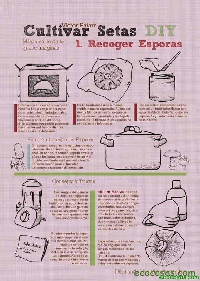Ecología, Permacultura, Salud Natural, Plantas Medicinales, Como Cultivar, Energías renovables, Bioconstrucción y otros. 12