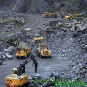 Ecología, Permacultura, Salud Natural, Plantas Medicinales, Como Cultivar, Energías renovables, Bioconstrucción y otros. 12