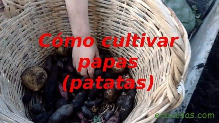 Ecología, Permacultura, Salud Natural, Plantas Medicinales, Como Cultivar, Energías renovables, Bioconstrucción y otros. 16