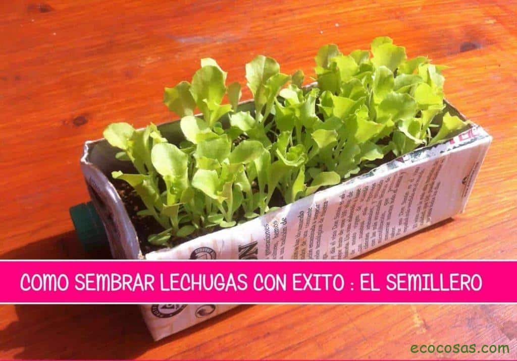 Ecología, Permacultura, Salud Natural, Plantas Medicinales, Como Cultivar, Energías renovables, Bioconstrucción y otros. 5