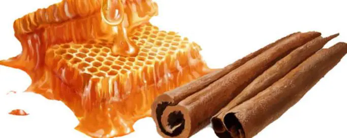 miel y canela para que sirve