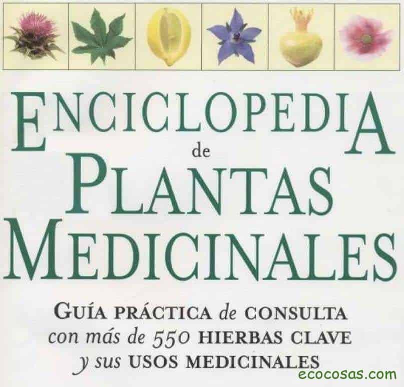 Ecología, Permacultura, Salud Natural, Plantas Medicinales, Como Cultivar, Energías renovables, Bioconstrucción y otros. 2