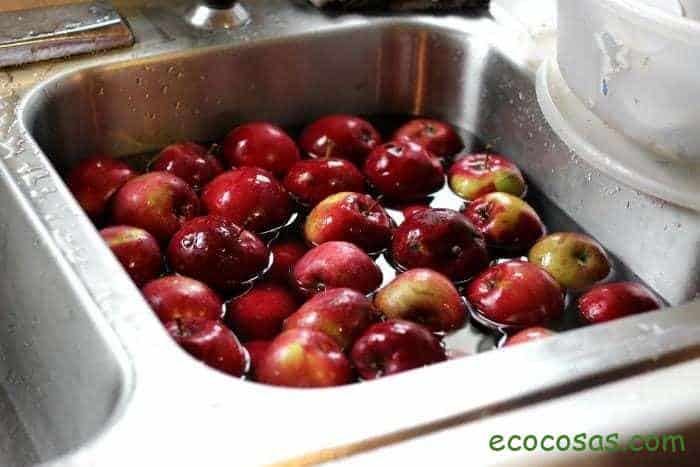 apples-in-the-sink