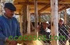 Ecología, Permacultura, Salud Natural, Plantas Medicinales, Como Cultivar, Energías renovables, Bioconstrucción y otros. 17