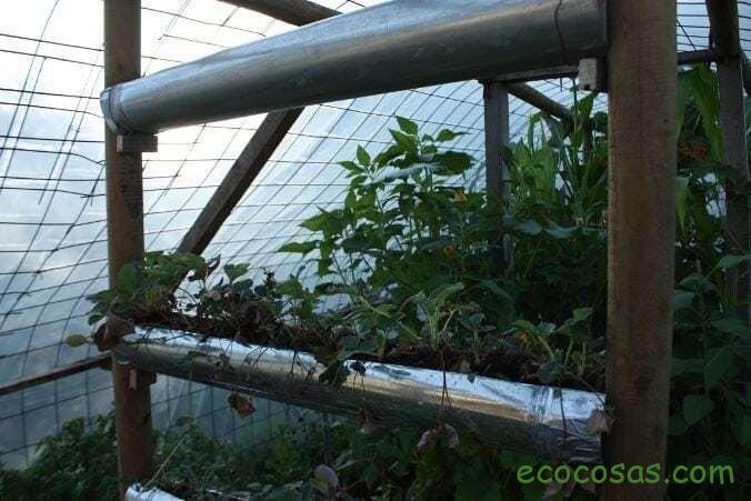 Ecología, Permacultura, Salud Natural, Plantas Medicinales, Como Cultivar, Energías renovables, Bioconstrucción y otros. 5