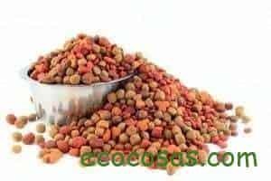 Ecología, Permacultura, Salud Natural, Plantas Medicinales, Como Cultivar, Energías renovables, Bioconstrucción y otros. 16