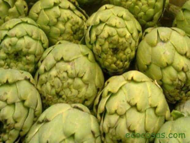 Ecología, Permacultura, Salud Natural, Plantas Medicinales, Como Cultivar, Energías renovables, Bioconstrucción y otros. 15