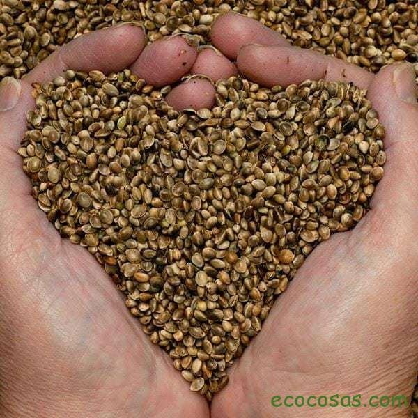 Ecología, Permacultura, Salud Natural, Plantas Medicinales, Como Cultivar, Energías renovables, Bioconstrucción y otros. 5