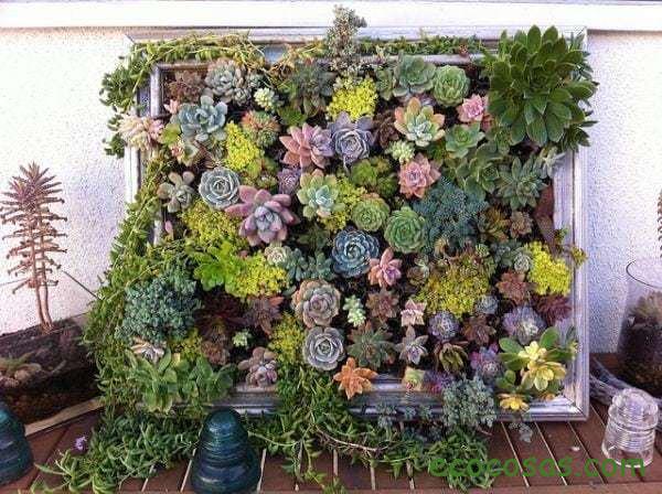 Hanging-succulent-DIY-garden-from-vintage-frame