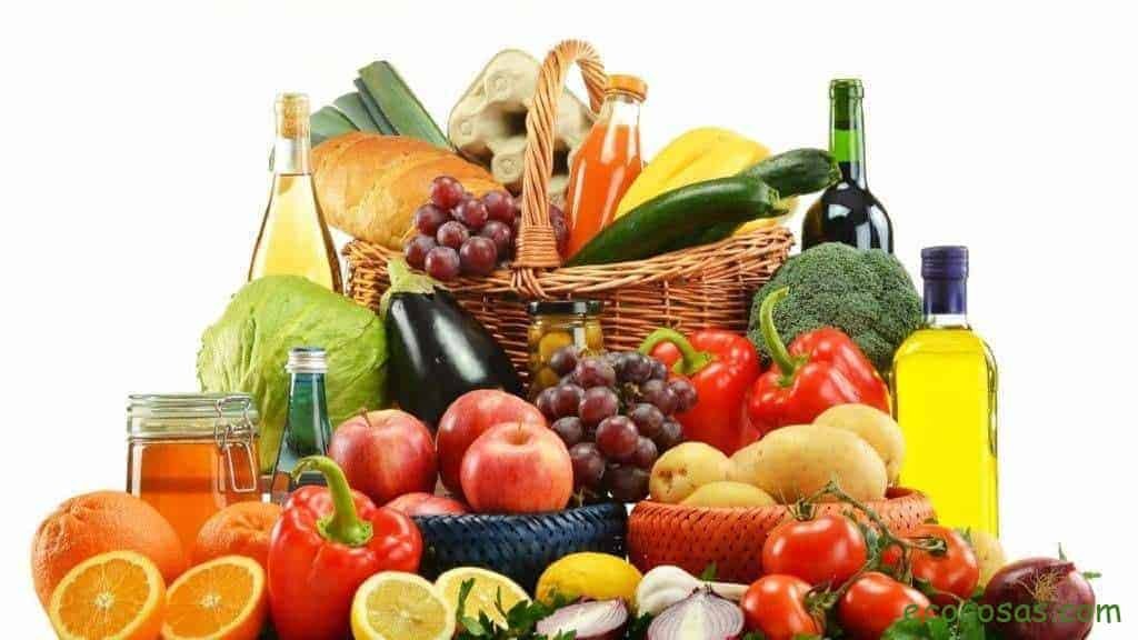 Ecología, Permacultura, Salud Natural, Plantas Medicinales, Como Cultivar, Energías renovables, Bioconstrucción y otros. 13