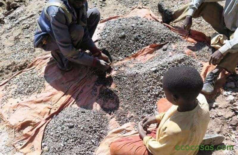 Ecología, Permacultura, Salud Natural, Plantas Medicinales, Como Cultivar, Energías renovables, Bioconstrucción y otros. 5