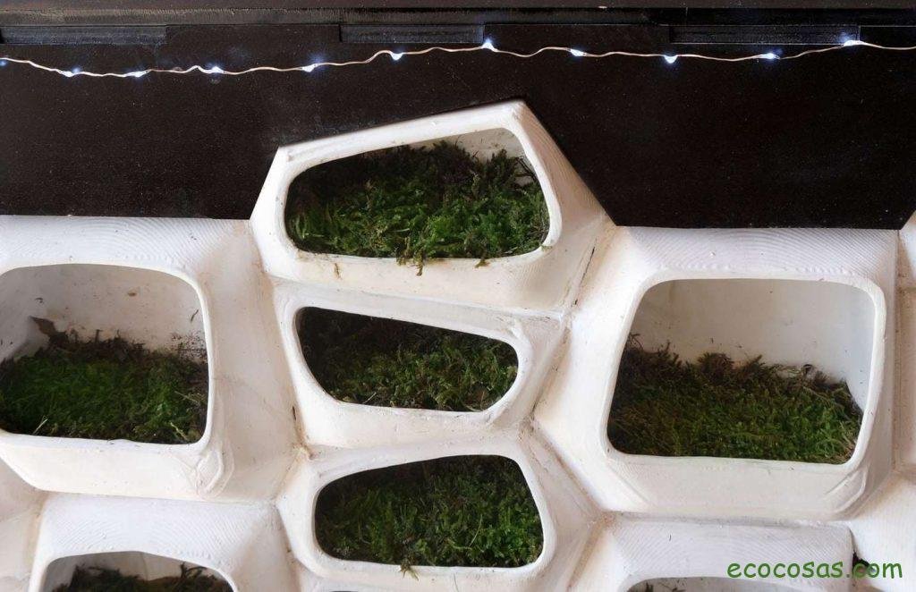 Ecología, Permacultura, Salud Natural, Plantas Medicinales, Como Cultivar, Energías renovables, Bioconstrucción y otros. 7