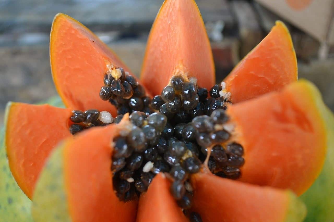 Te apetece una fruta??? - Página 6 Papaya