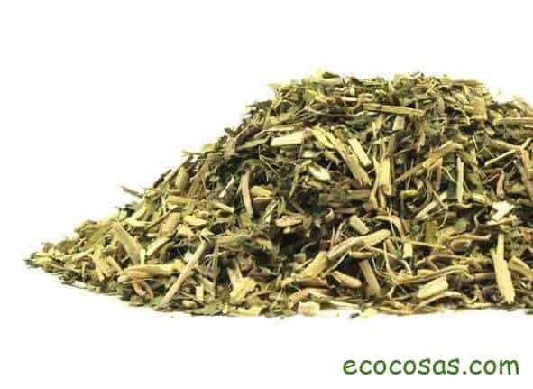 pasiflora propiedades