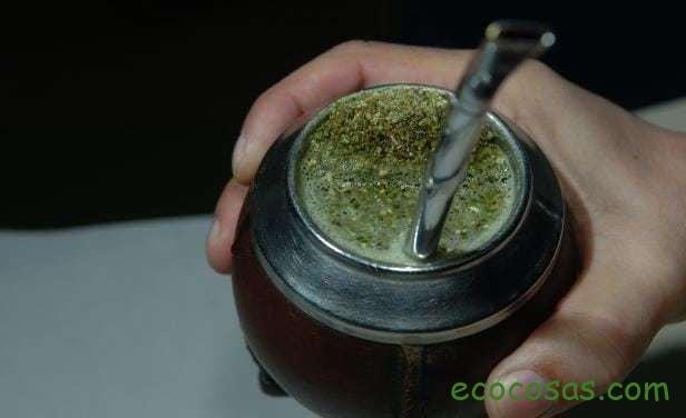 yerba mate