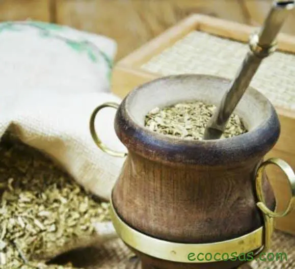 La Yerba Mate y sus beneficios para la Salud 5 circuito productivo de la yerba mate
