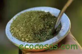 La Yerba Mate y sus beneficios para la Salud 3 leyenda de la yerba mate