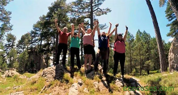 Conoce la tradición japonesa de darse un Baño de Bosque (shinrin-yoku) 1 Conoce la tradición japonesa de darse un Baño de Bosque (shinrin-yoku) 1