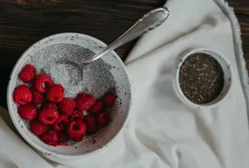 Semillas de chía y sus usos, beneficios, propiedades y contraindicaciones 3 para que sirve la chia