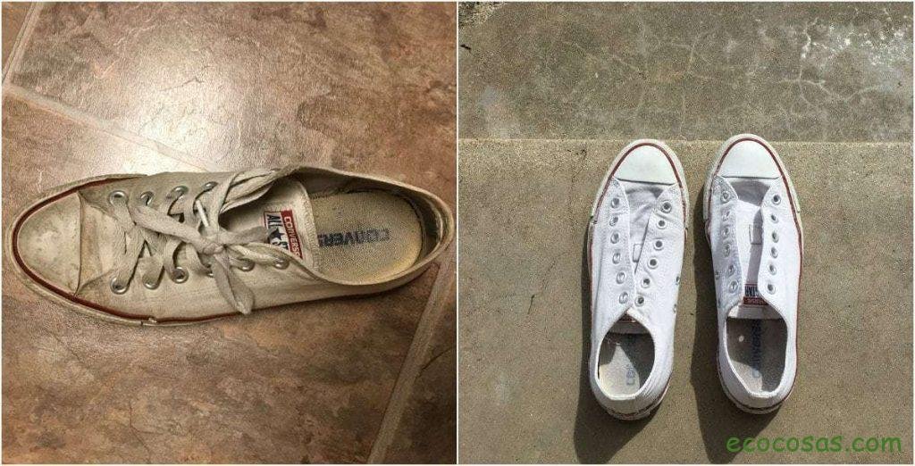 Ecología, Permacultura, Salud Natural, Plantas Medicinales, Como Cultivar, Energías renovables, Bioconstrucción y otros. 6