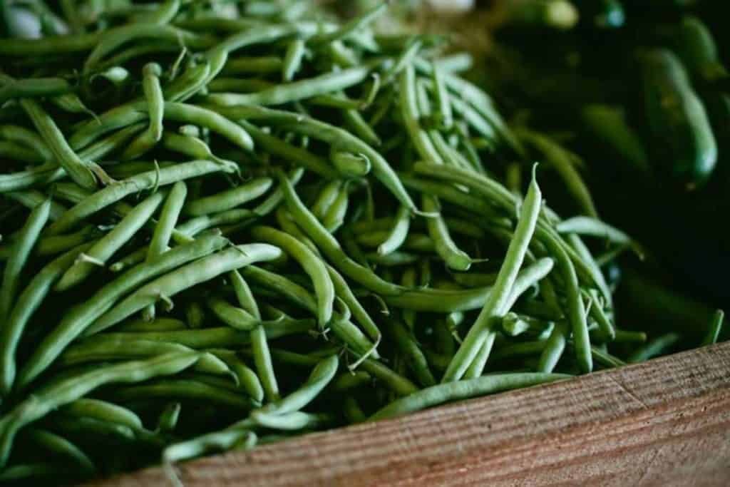 alimentos que contienen niquel