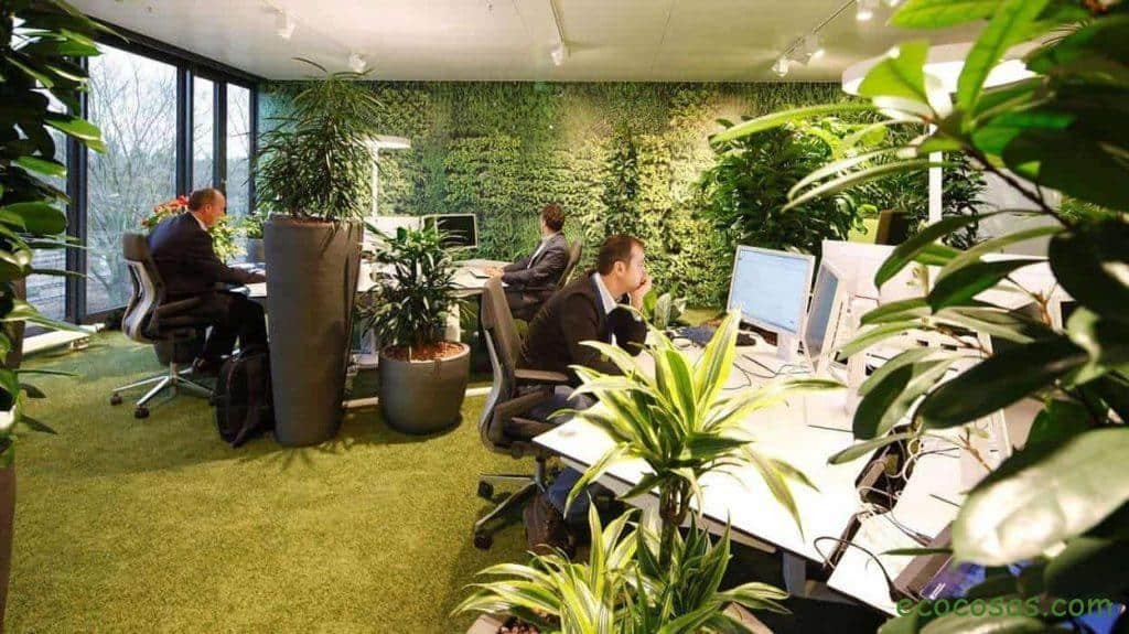 Ecología, Permacultura, Salud Natural, Plantas Medicinales, Como Cultivar, Energías renovables, Bioconstrucción y otros. 6