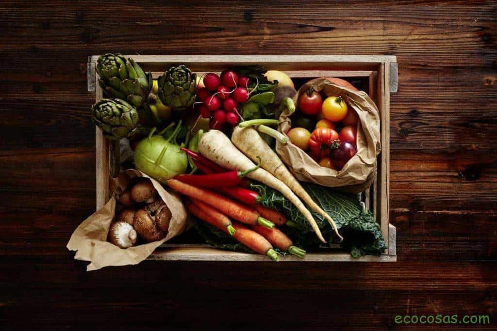 verduras de temporada