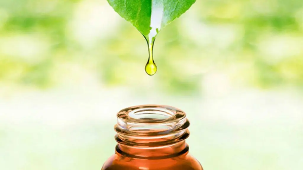 olio di albero