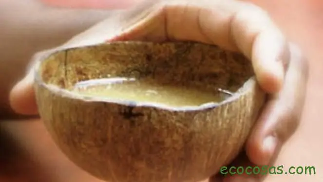 ¿Qué es Kava? Ventajas, uso seguro y cómo hacer el té de la kava 1 kava kava